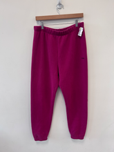 Load image into Gallery viewer, Tna Athletic Pants Size Large
