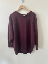 Load image into Gallery viewer, Aerie Sweatshirt Size Large
