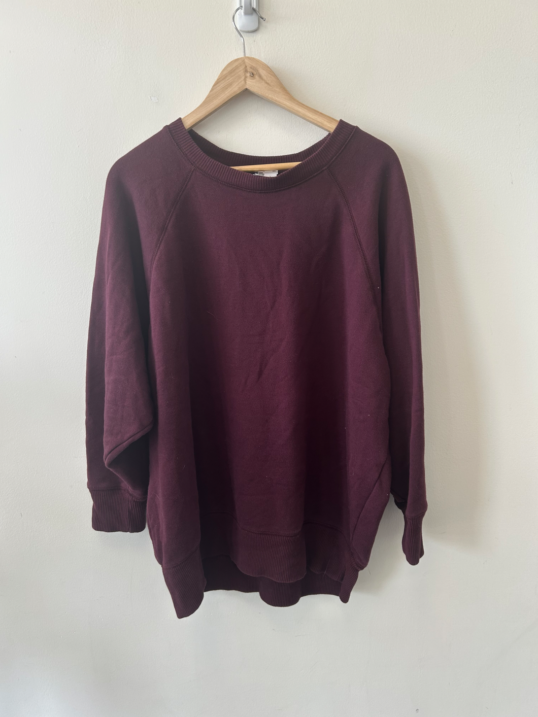 Aerie Sweatshirt Size Large