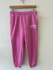 Pac Sun Athletic Pants Size Small